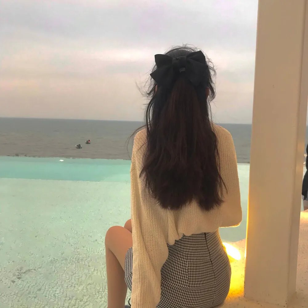 托梅斯的导盲犬封面